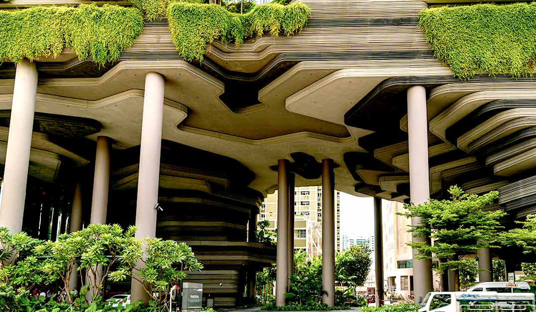 助力城市环保绿化，打造绿色家园